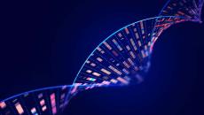 Human genome analysis DNA molecular structure