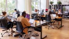 Numerous employees sitting at desks in a room with large windows